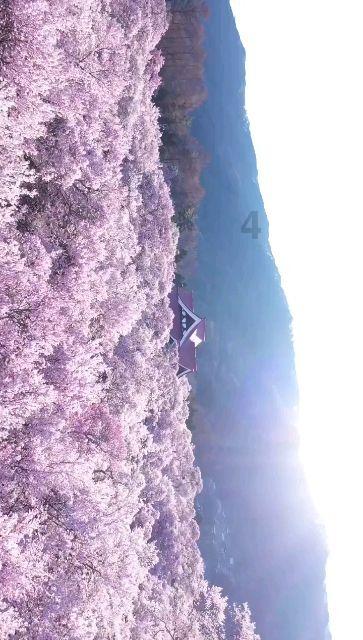 进击的飞机