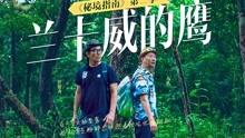 杨鸣找到新工作，马布里暗讽秦总，翟小川伤情曝光
