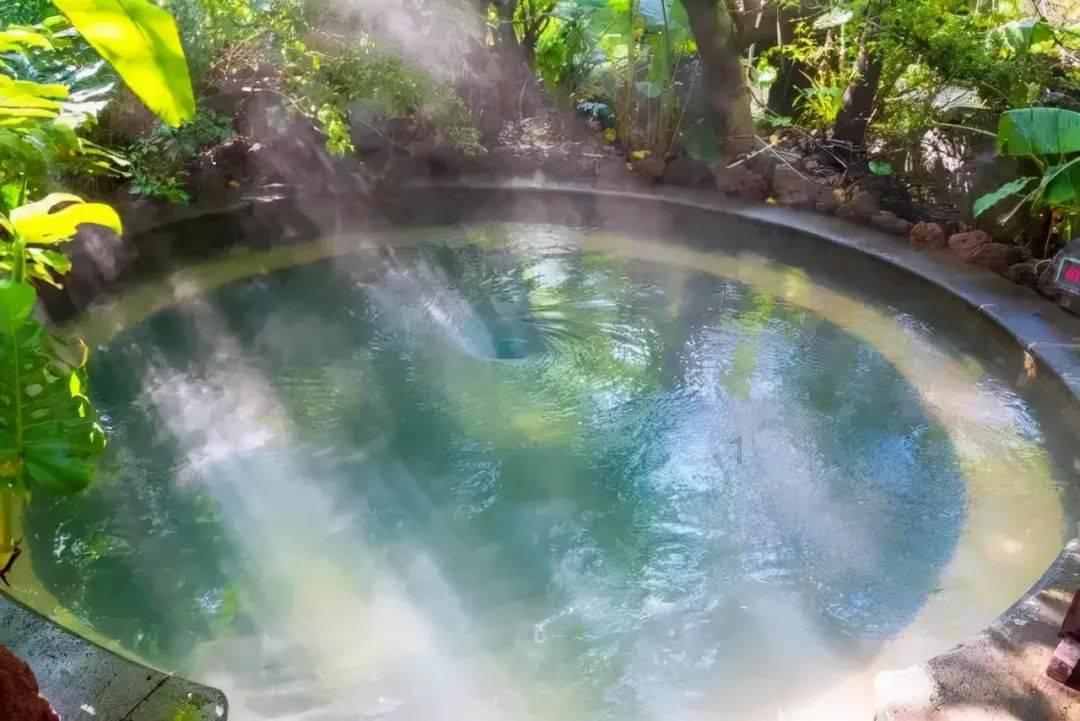 阿诺德:最想和亨利一起踢球 想拥有福登的左脚
