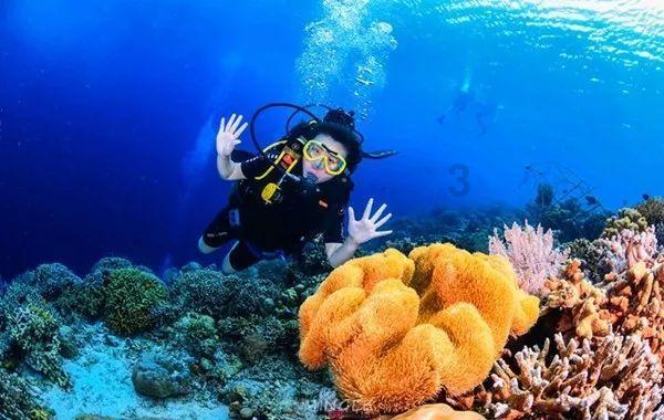 幽浮飞碟