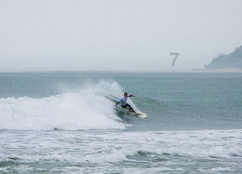 洞庭月历丨水鸟:“湖水清澈,倒映着我”