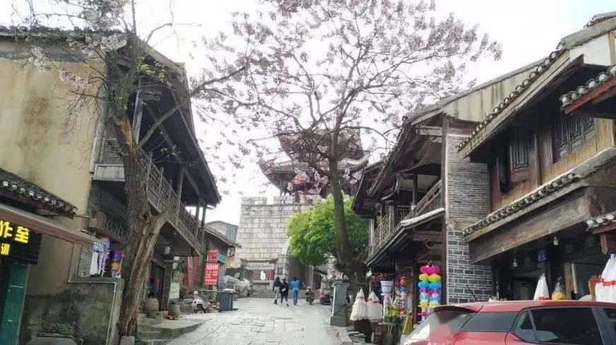 救援墨镜哥